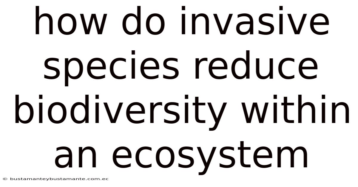 How Do Invasive Species Reduce Biodiversity Within An Ecosystem