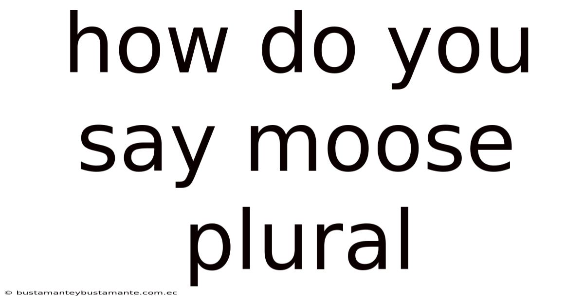How Do You Say Moose Plural
