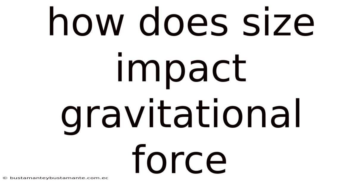 How Does Size Impact Gravitational Force