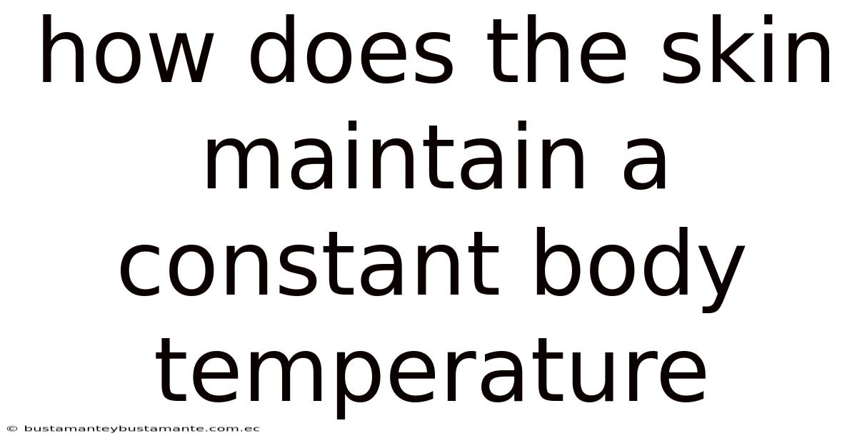 How Does The Skin Maintain A Constant Body Temperature