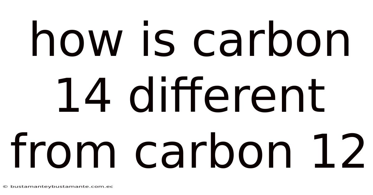 How Is Carbon 14 Different From Carbon 12