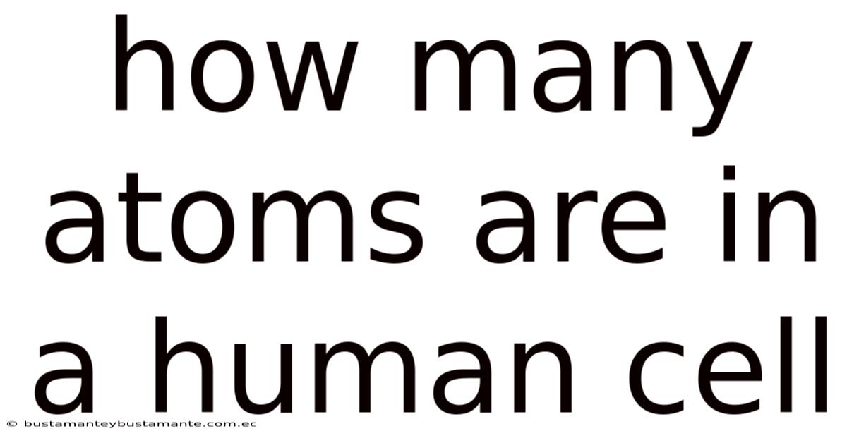 How Many Atoms Are In A Human Cell