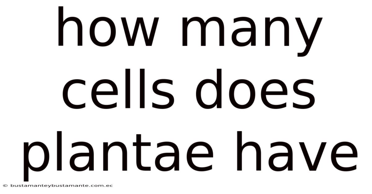 How Many Cells Does Plantae Have