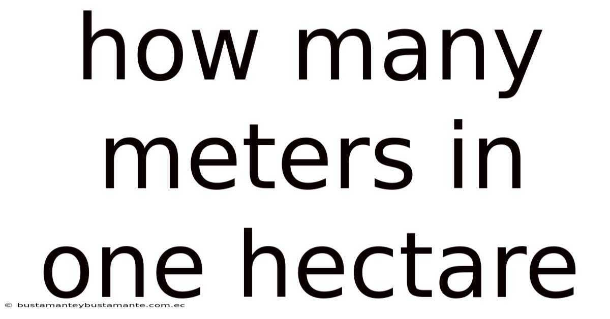 How Many Meters In One Hectare