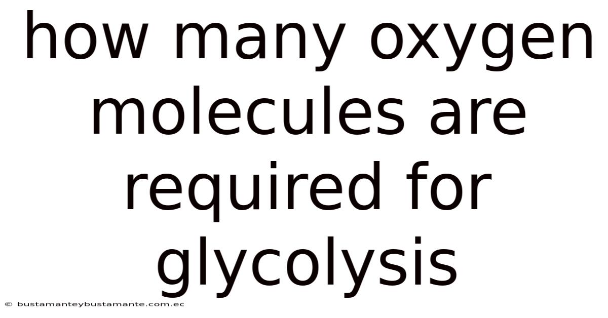 How Many Oxygen Molecules Are Required For Glycolysis