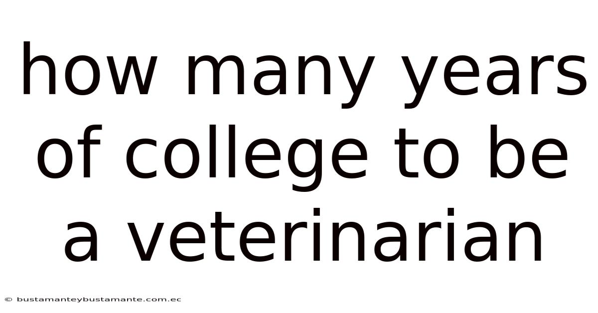 How Many Years Of College To Be A Veterinarian