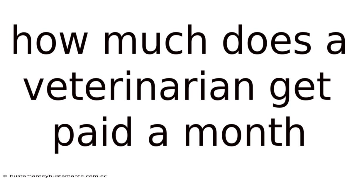 How Much Does A Veterinarian Get Paid A Month