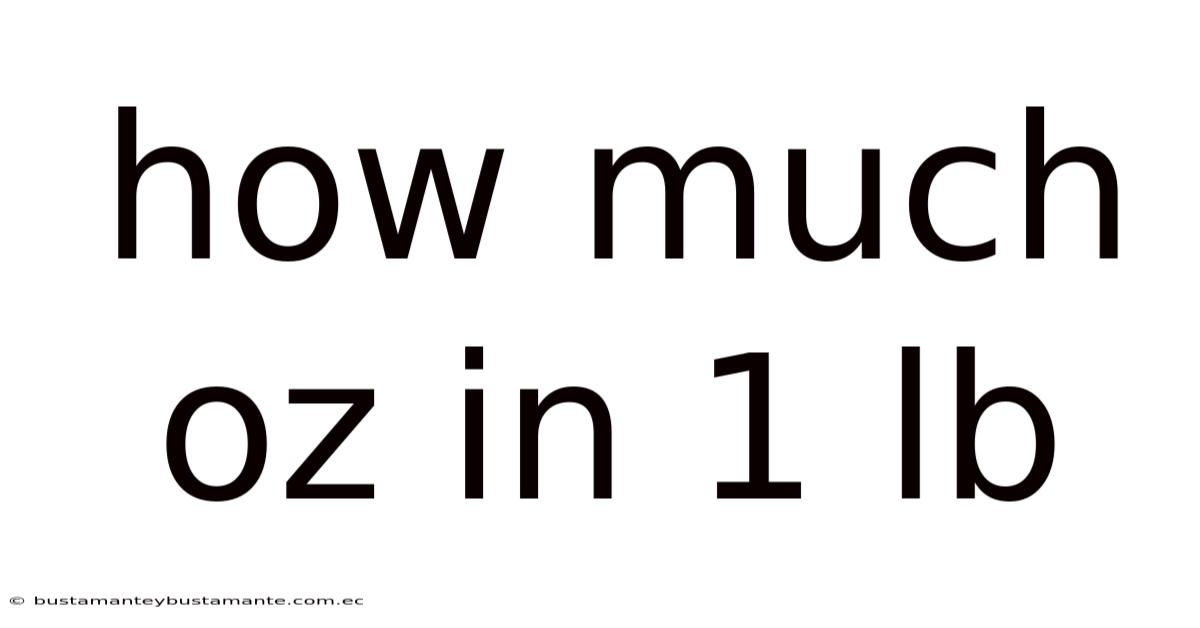 How Much Oz In 1 Lb