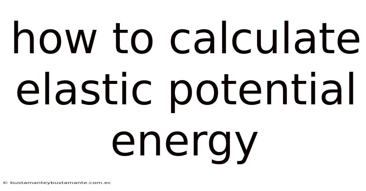 How To Calculate Elastic Potential Energy
