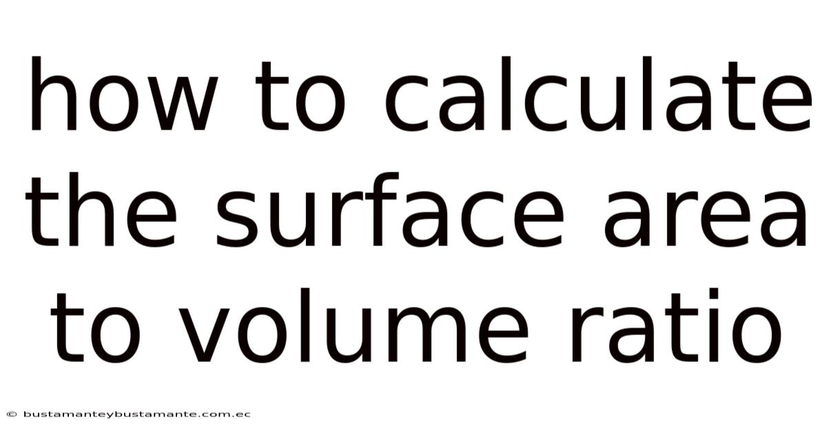 How To Calculate The Surface Area To Volume Ratio