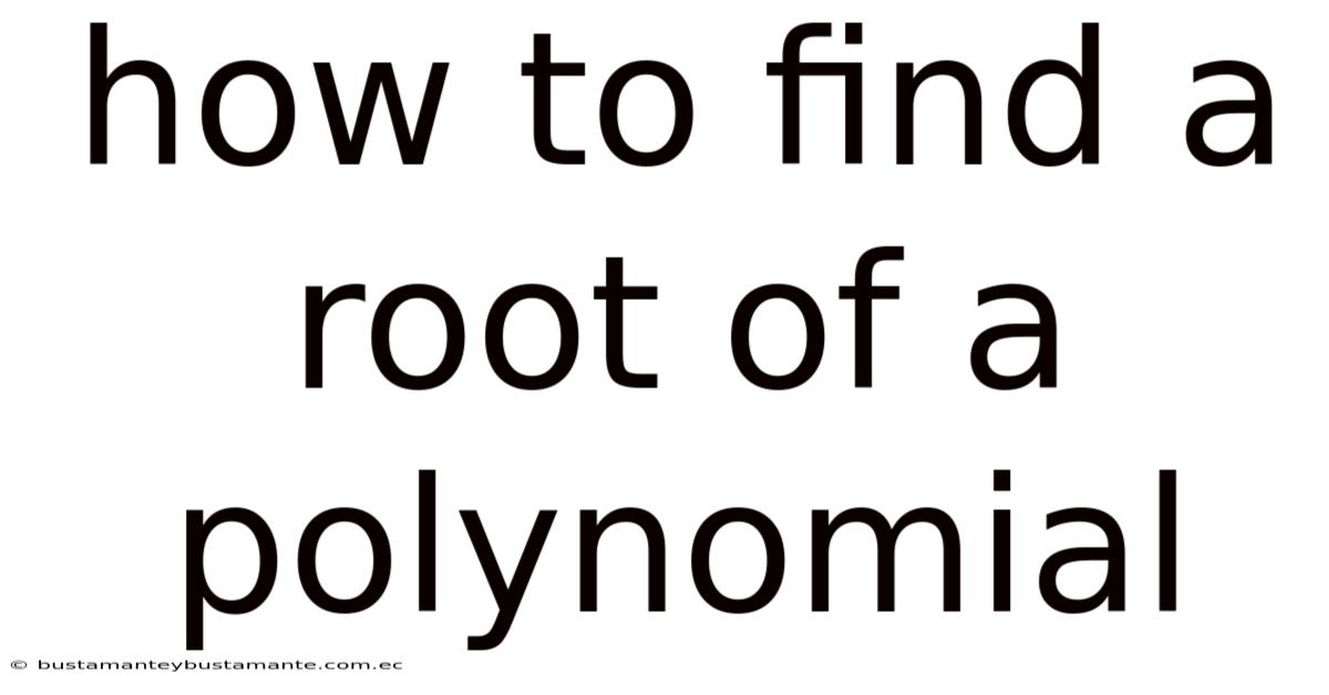How To Find A Root Of A Polynomial