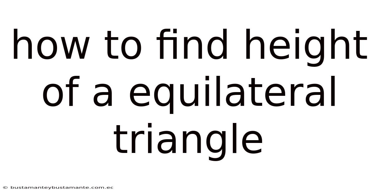 How To Find Height Of A Equilateral Triangle