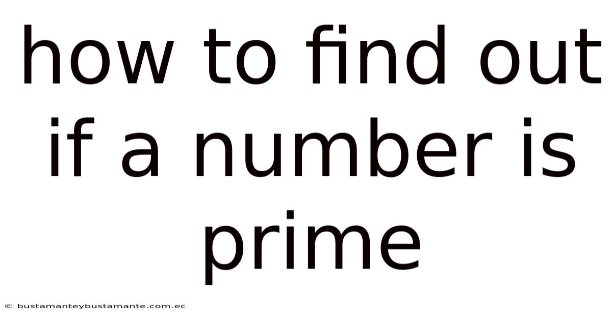 How To Find Out If A Number Is Prime