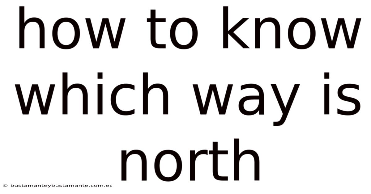How To Know Which Way Is North