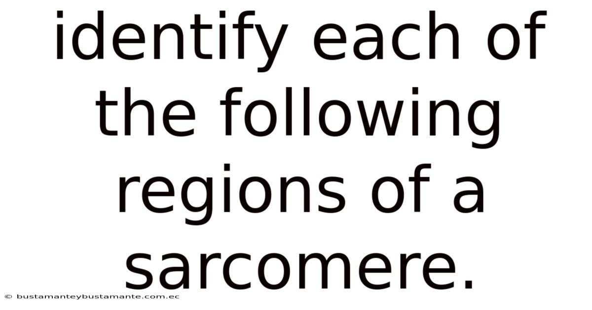 Identify Each Of The Following Regions Of A Sarcomere.