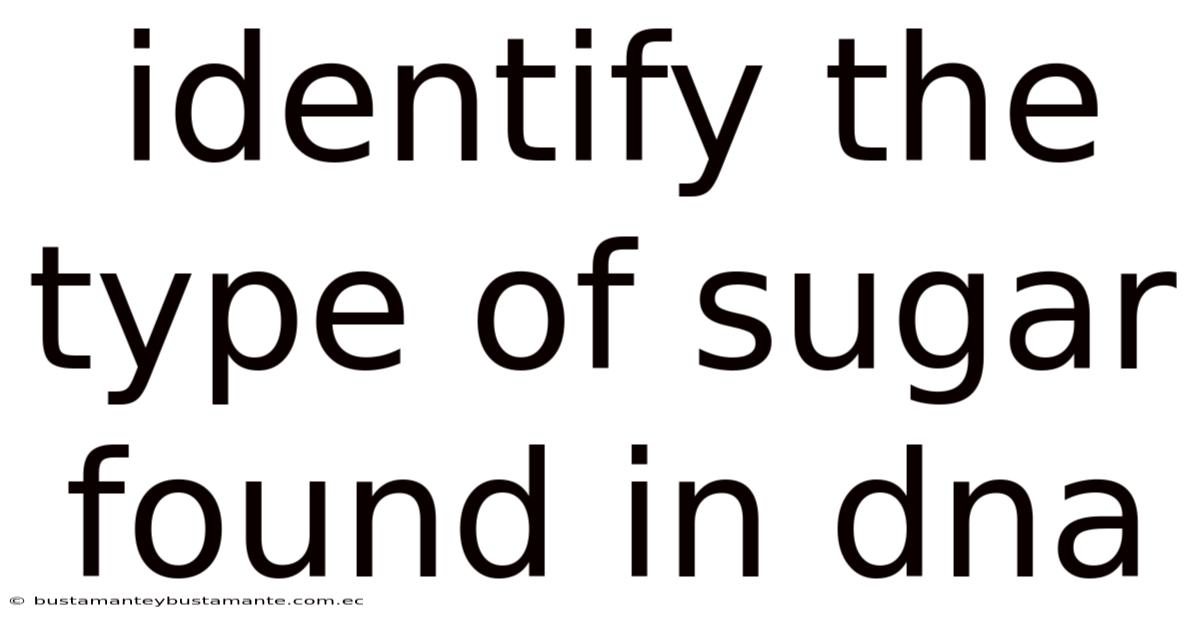 Identify The Type Of Sugar Found In Dna