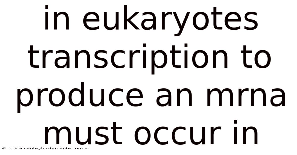 In Eukaryotes Transcription To Produce An Mrna Must Occur In