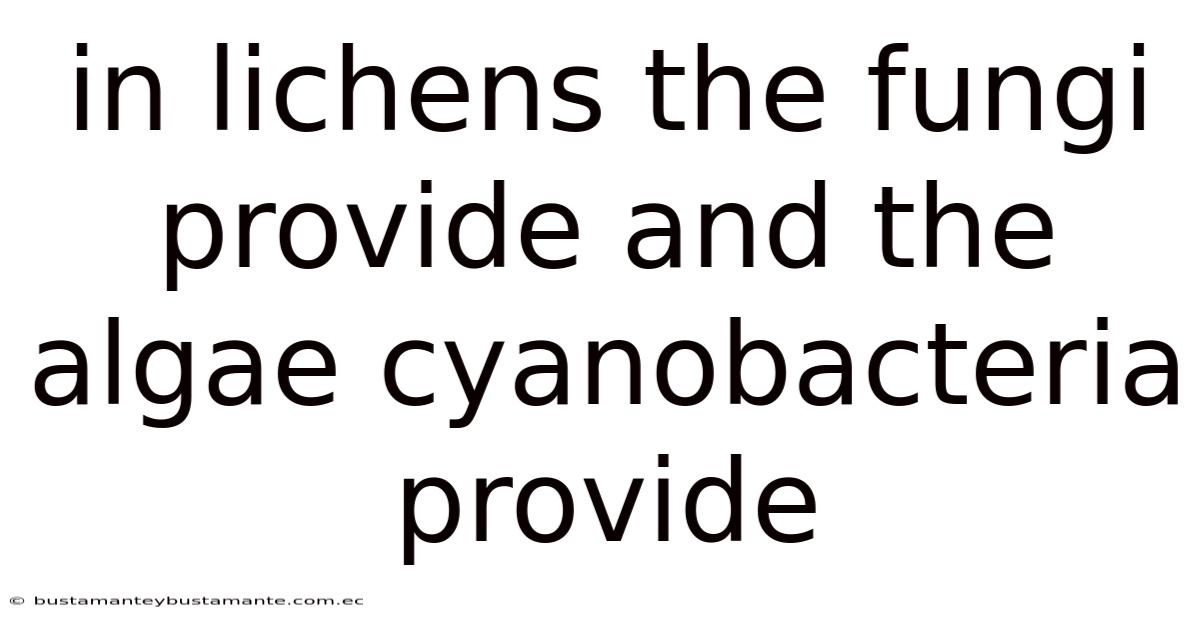 In Lichens The Fungi Provide And The Algae Cyanobacteria Provide