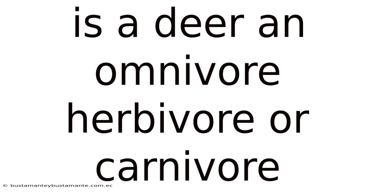 Is A Deer An Omnivore Herbivore Or Carnivore