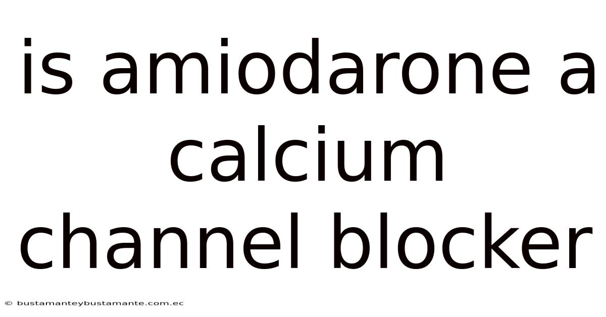 Is Amiodarone A Calcium Channel Blocker