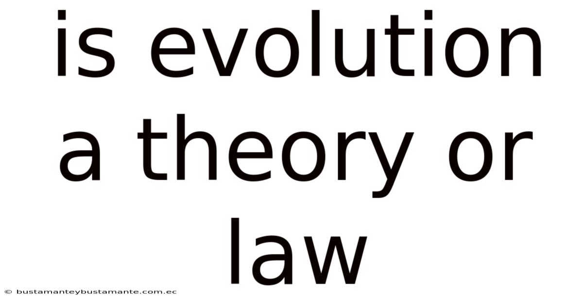 Is Evolution A Theory Or Law