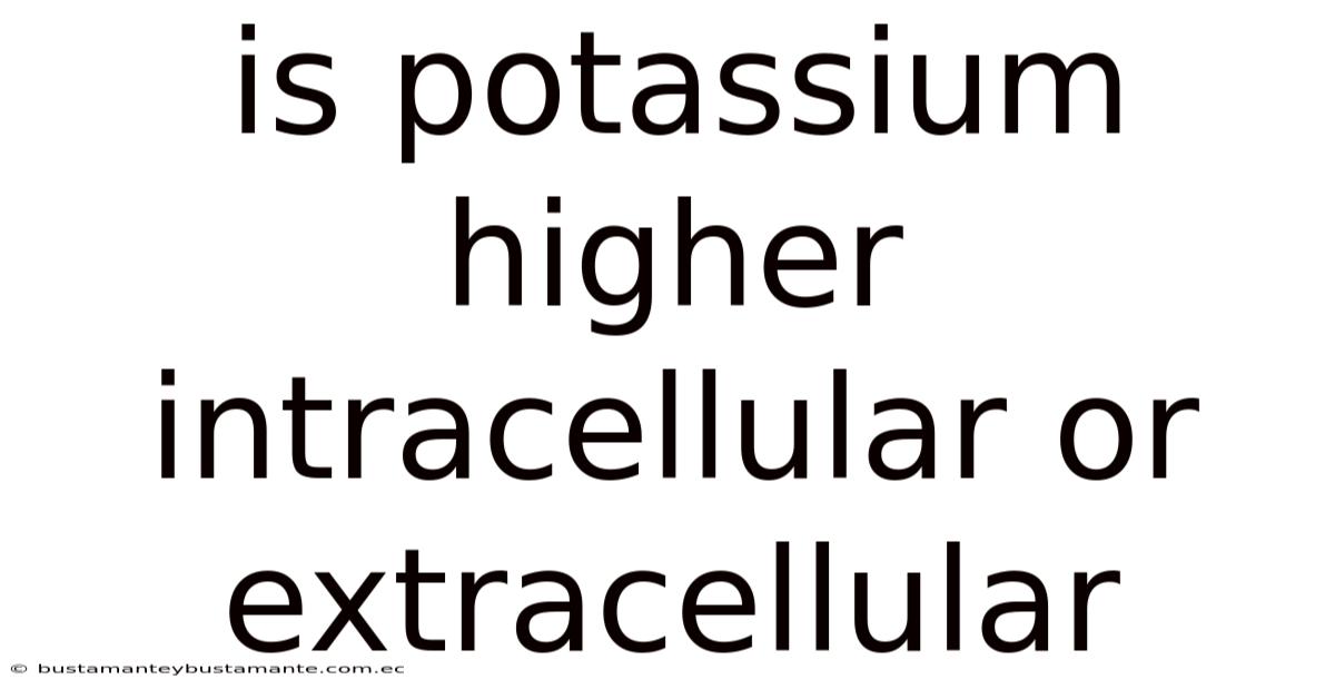 Is Potassium Higher Intracellular Or Extracellular