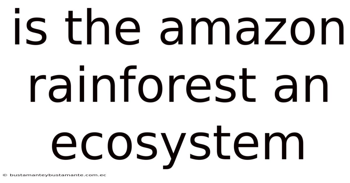 Is The Amazon Rainforest An Ecosystem