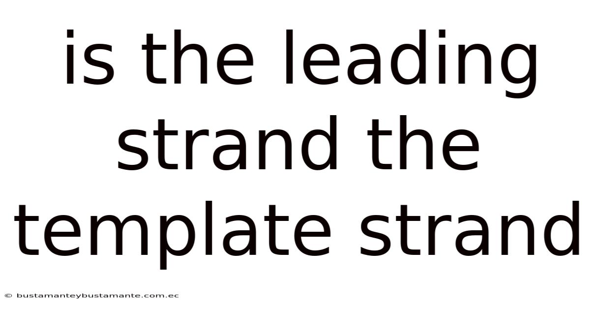 Is The Leading Strand The Template Strand