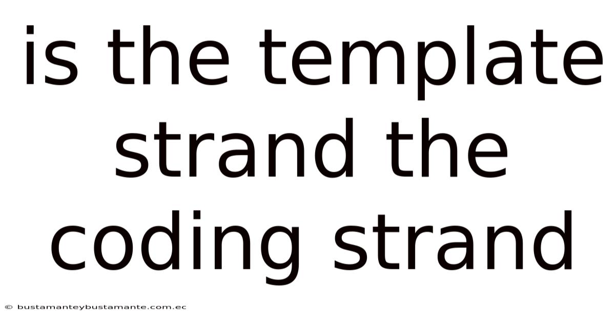 Is The Template Strand The Coding Strand