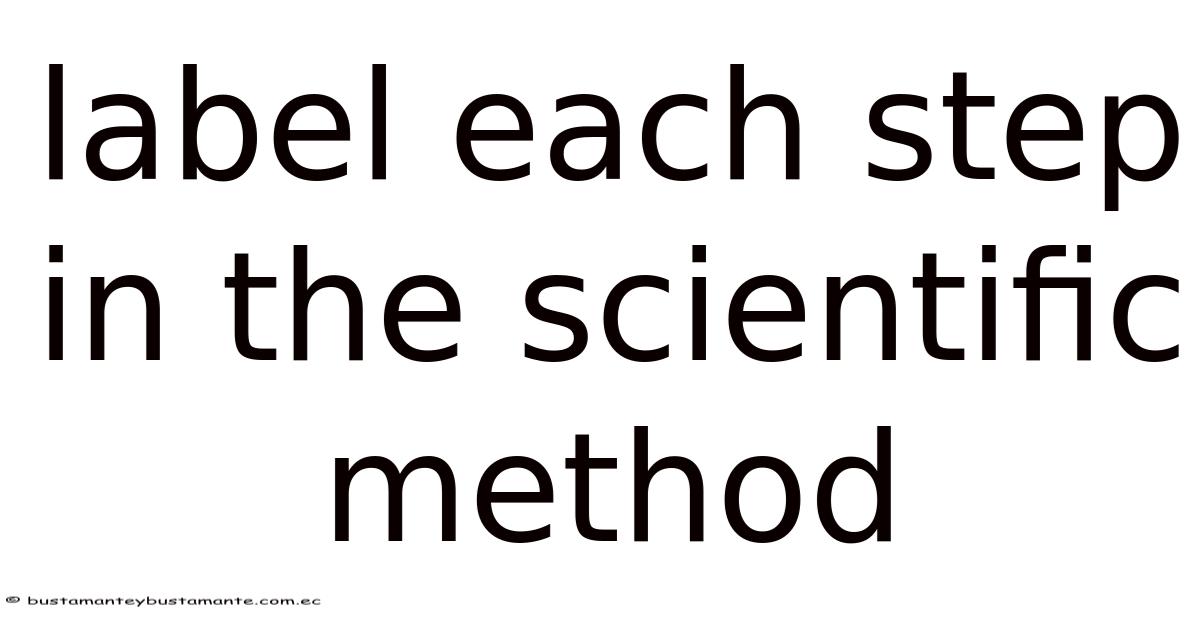Scientific Method Labeling Label Each Step In The Scientific Method