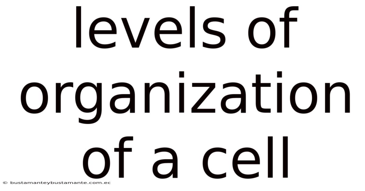 Levels Of Organization Of A Cell