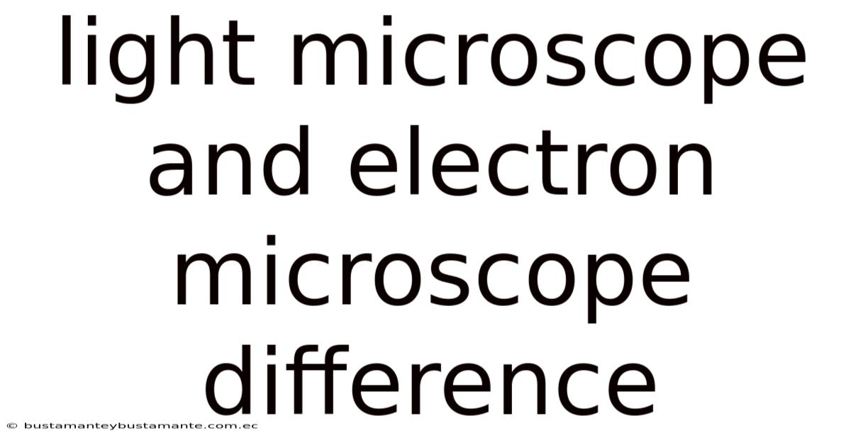 Light Microscope And Electron Microscope Difference