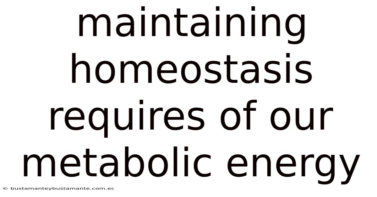 Maintaining Homeostasis Requires Of Our Metabolic Energy