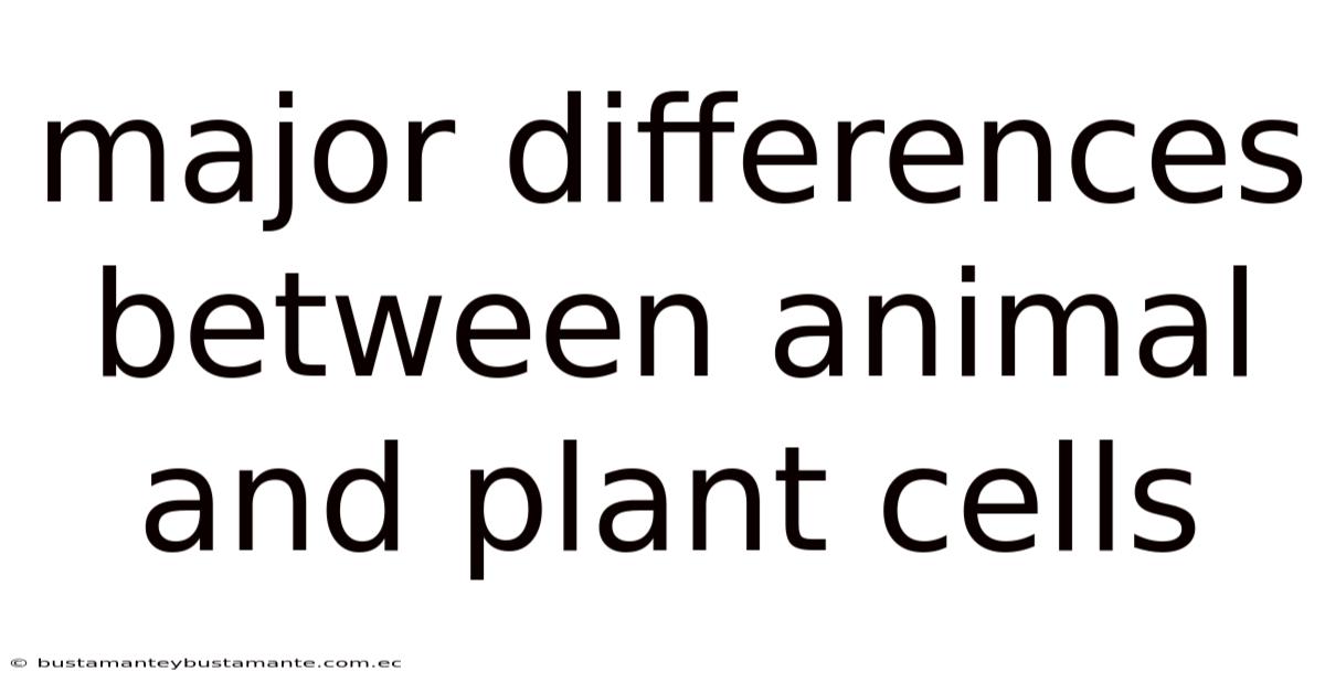 Major Differences Between Animal And Plant Cells