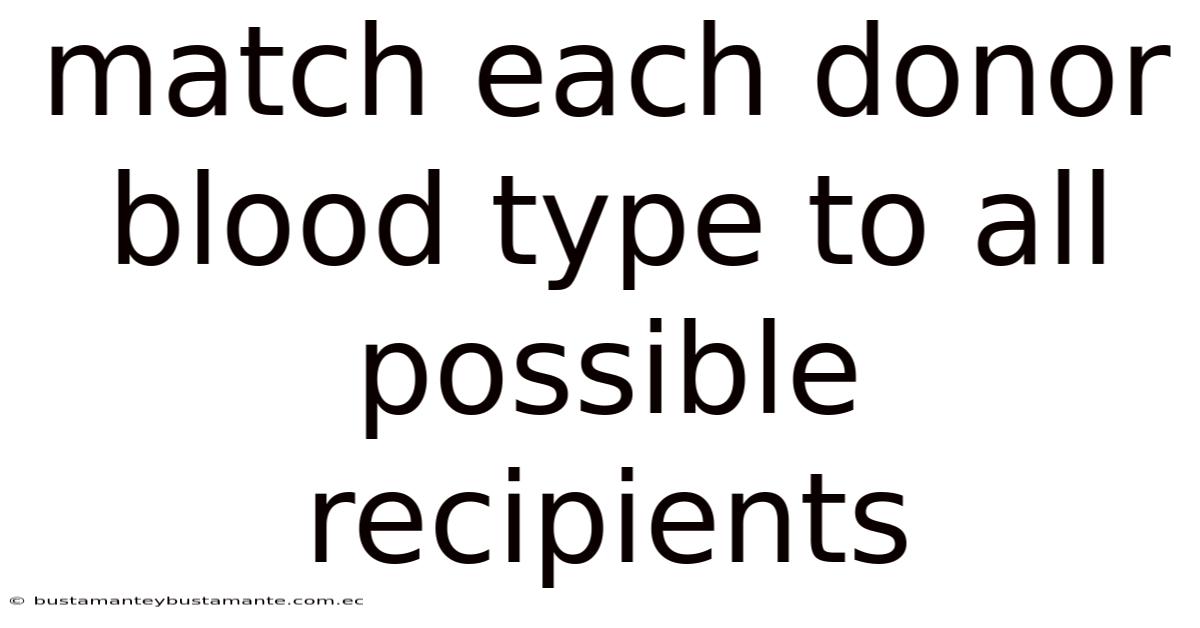 Match Each Donor Blood Type To All Possible Recipients