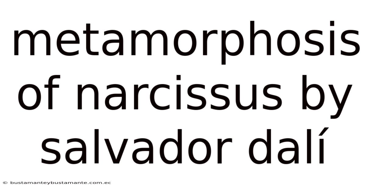 Metamorphosis Of Narcissus By Salvador Dalí