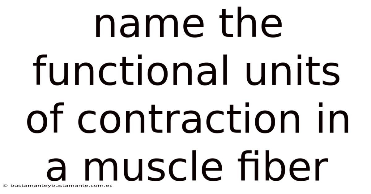 Name The Functional Units Of Contraction In A Muscle Fiber