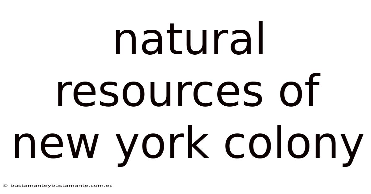 Natural Resources Of New York Colony