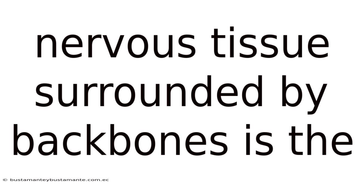 Nervous Tissue Surrounded By Backbones Is The