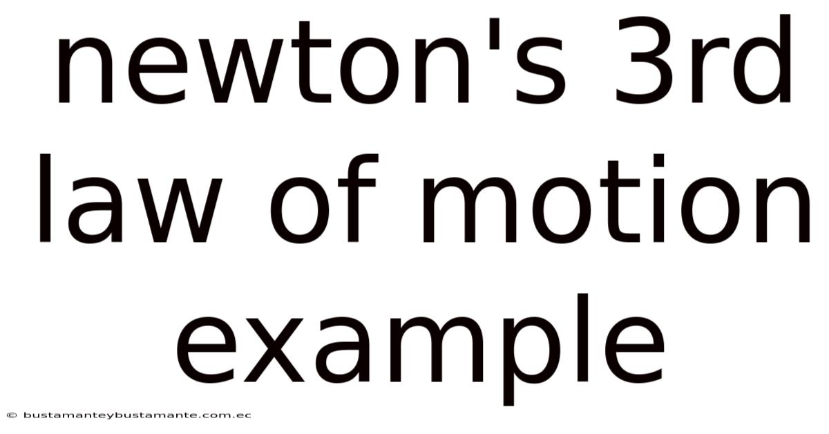 Newton's 3rd Law Of Motion Example
