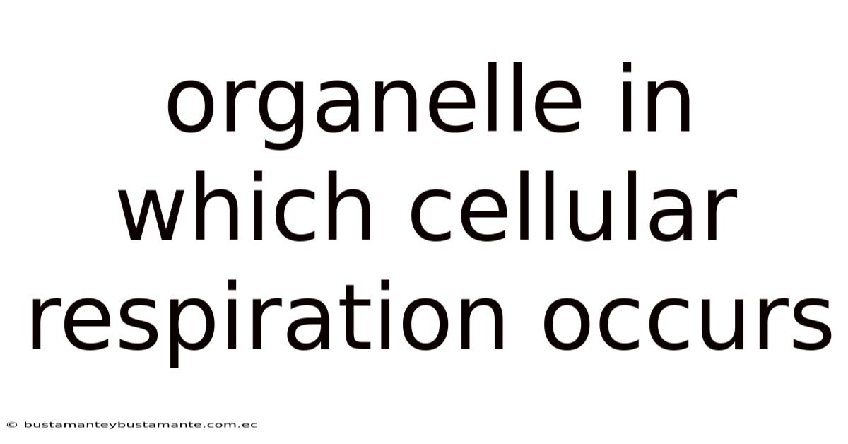 Organelle In Which Cellular Respiration Occurs