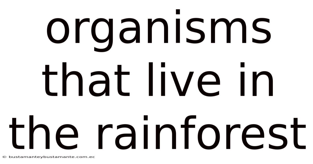 Organisms That Live In The Rainforest