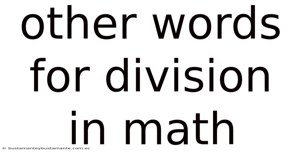 Other Words For Division In Math