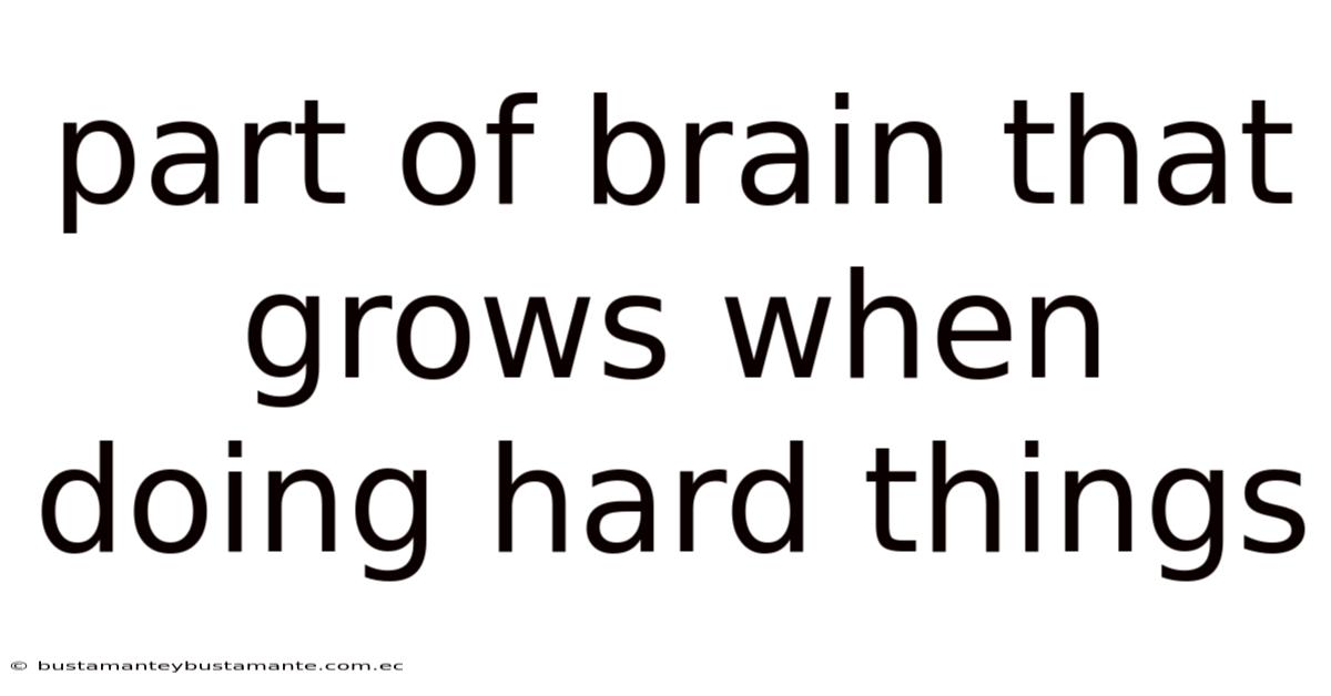 Part Of Brain That Grows When Doing Hard Things