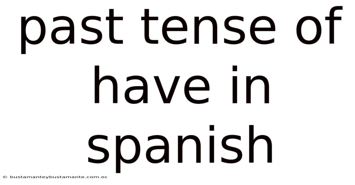 Past Tense Of Have In Spanish