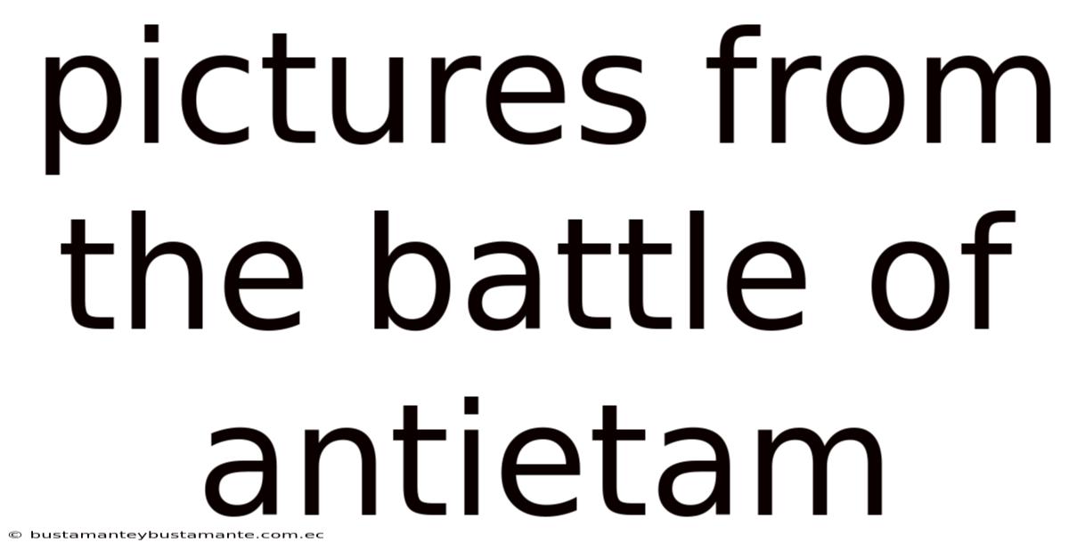 Pictures From The Battle Of Antietam