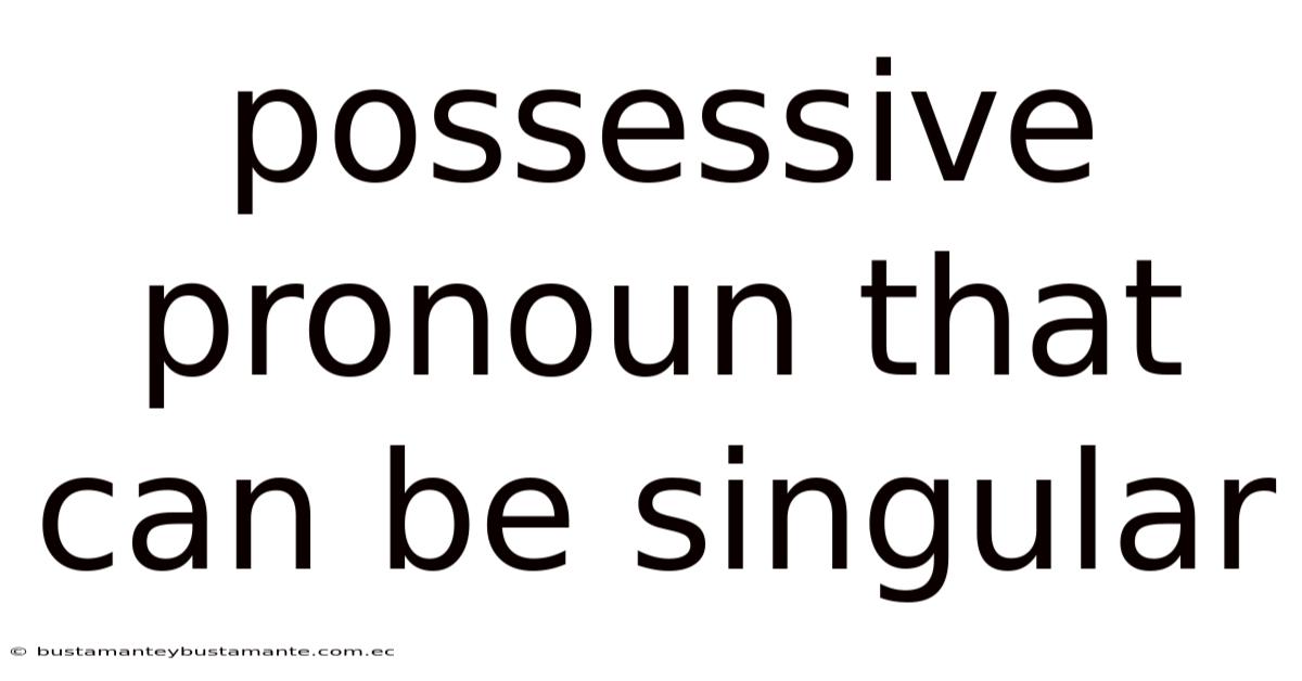 Possessive Pronoun That Can Be Singular