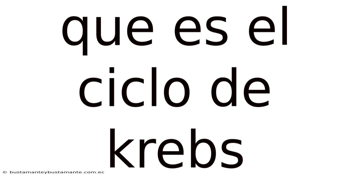 Que Es El Ciclo De Krebs