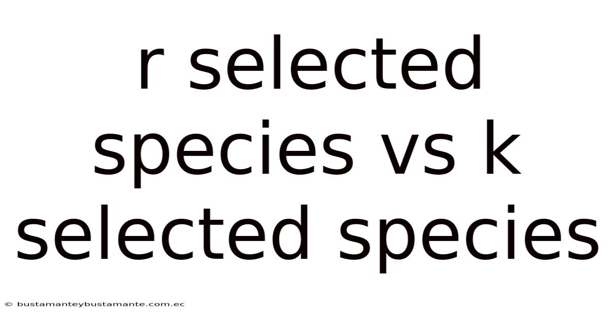 R Selected Species Vs K Selected Species