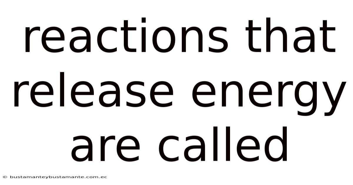 Reactions That Release Energy Are Called